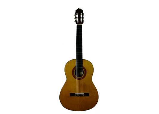 Sobrinos de Santos Hernandez – 1982