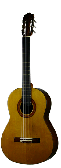 Sobrinos de Santos Hernandez – 1982