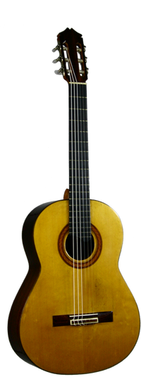Sobrinos de Santos Hernandez – 1982