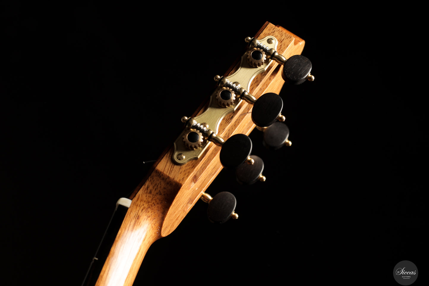 Sebastiano Fracasso - 2025 Arenaria