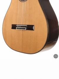 Siccas Luthiers - Halo Traditional Cedar 63 cm - Front view thumbnail
