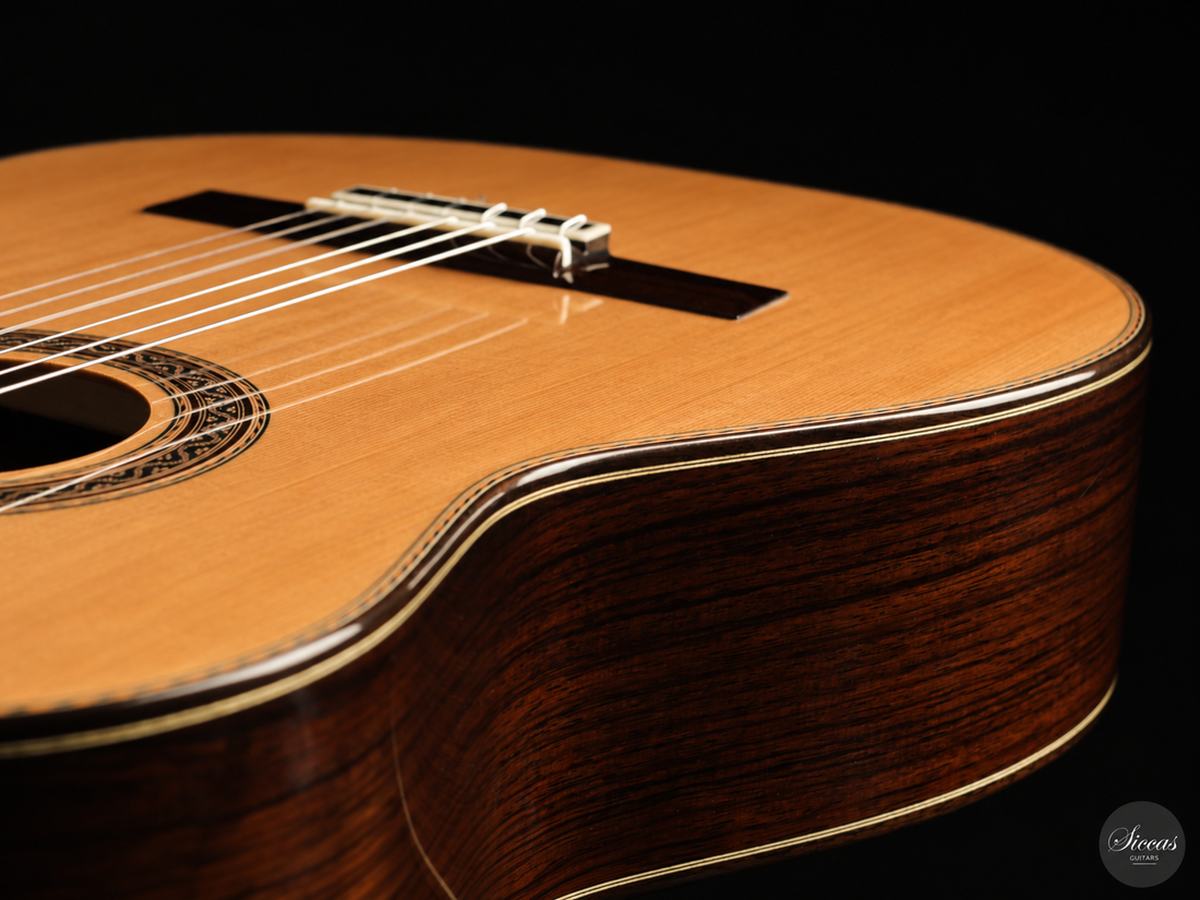 Siccas Luthiers - Halo Traditional Cedar - Front view
