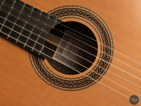 Siccas Luthiers - Halo Traditional Cedar
