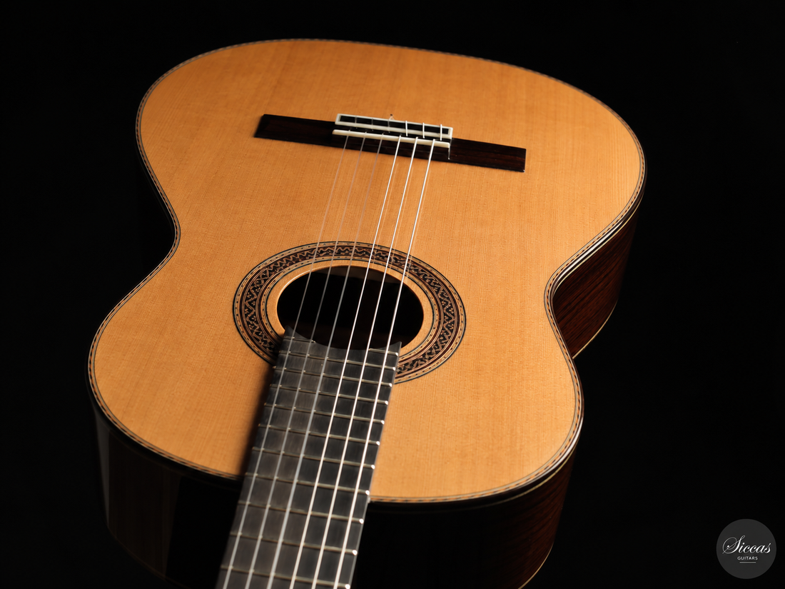 Siccas Luthiers - Halo Traditional Cedar 63 cm