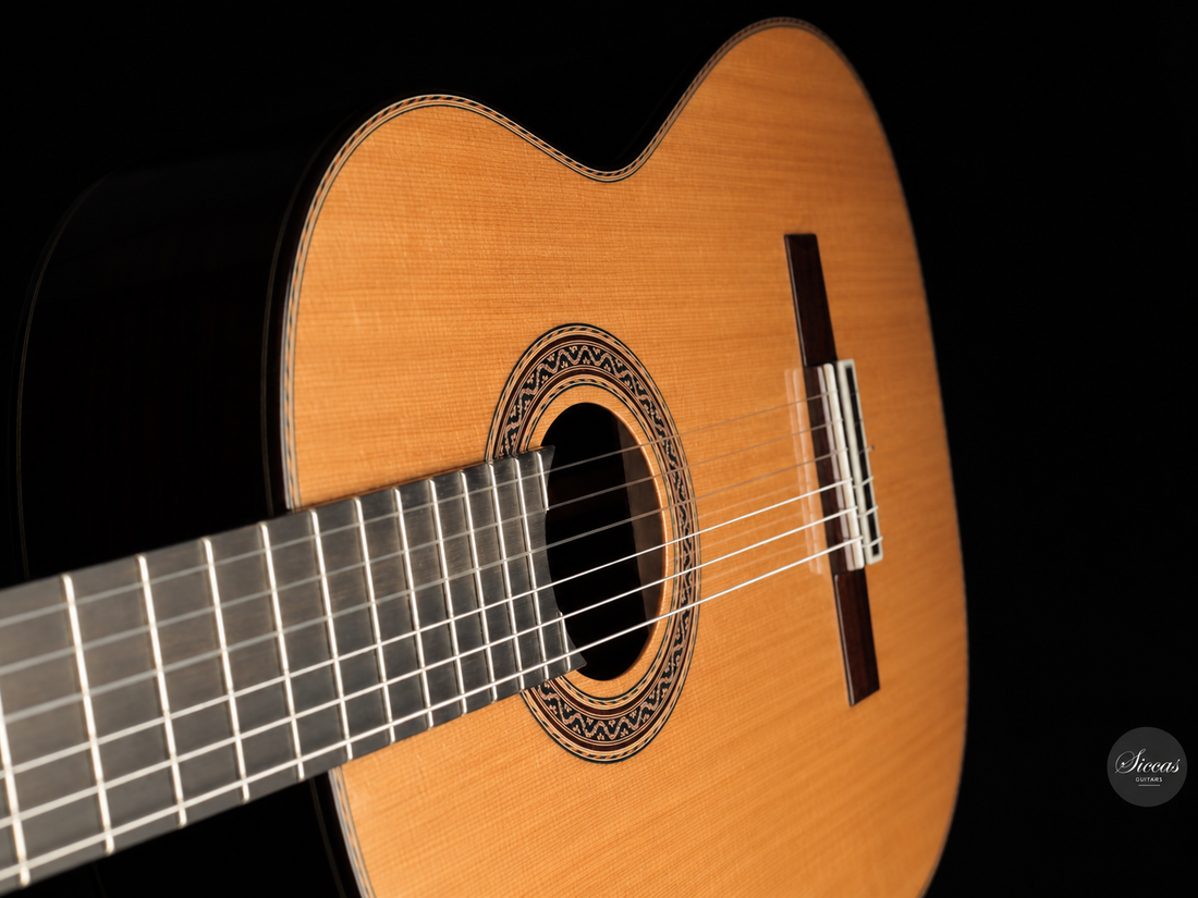 Siccas Luthiers - Halo Traditional Cedar