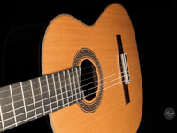 Siccas Luthiers - Halo Traditional Cedar - Front view thumbnail