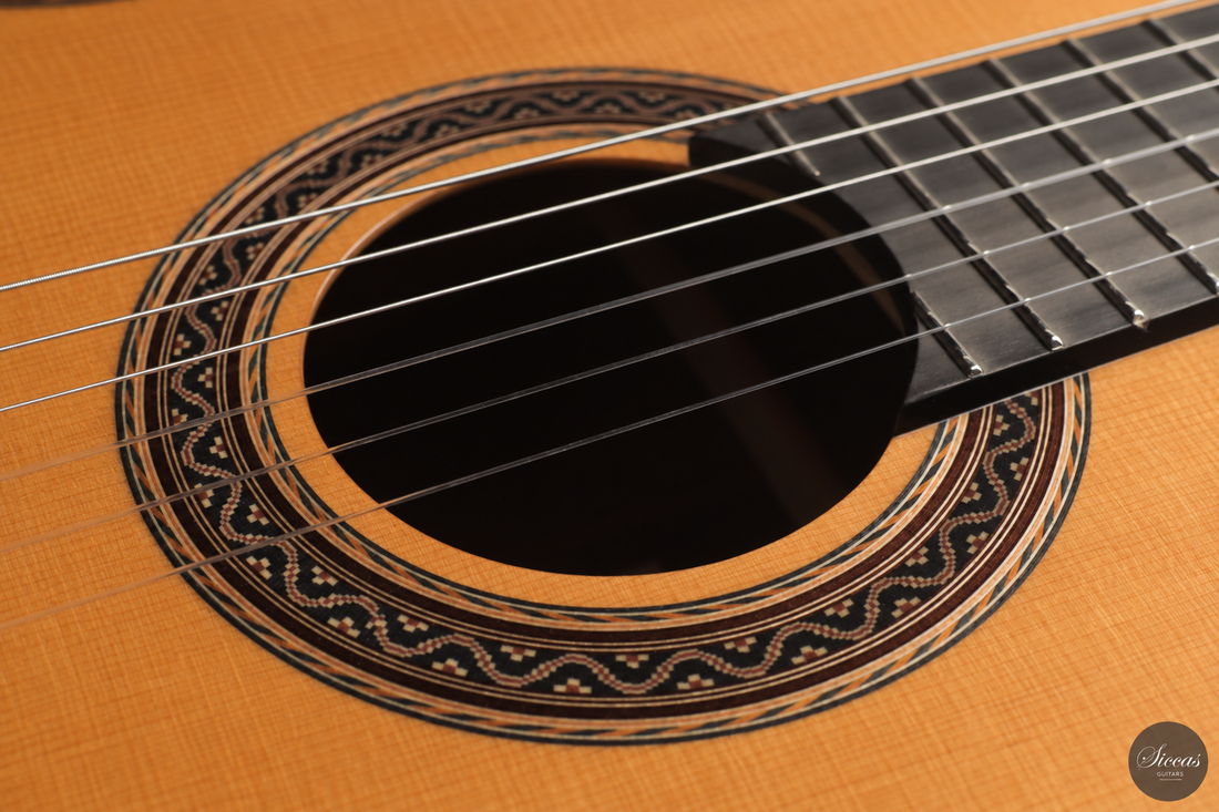 Siccas Luthiers - Halo Traditional Cedar 63 cm
