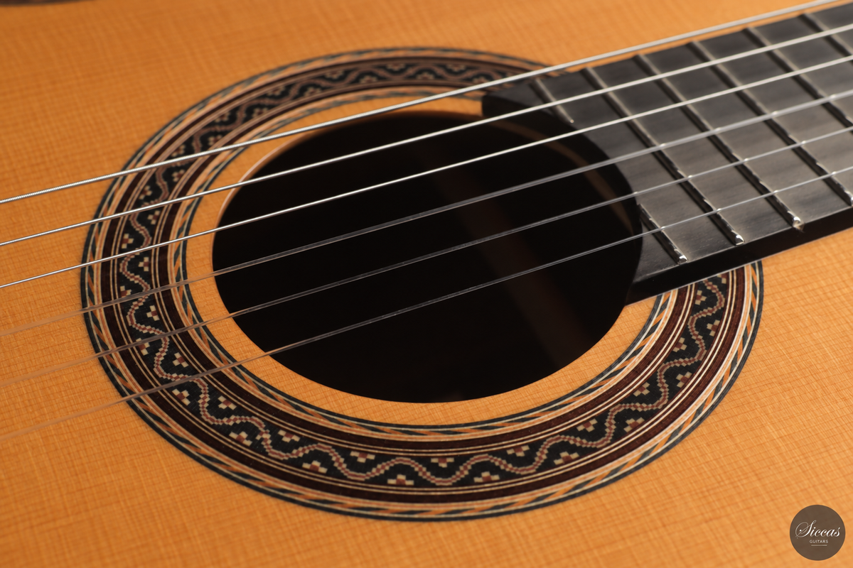 Siccas Luthiers - Halo Traditional Cedar 63 cm