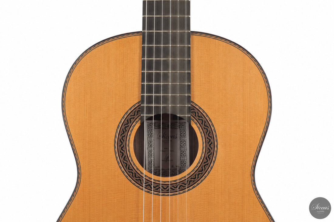 Siccas Luthiers - Halo Traditional Cedar 63 cm - Front view