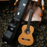 Siccas Luthiers - Halo Traditional Cedar 63 cm
