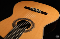Siccas Luthiers - Halo Traditional Cedar