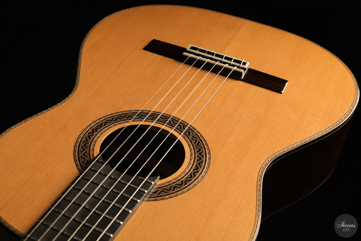Siccas Luthiers - Halo Traditional Cedar 63 cm