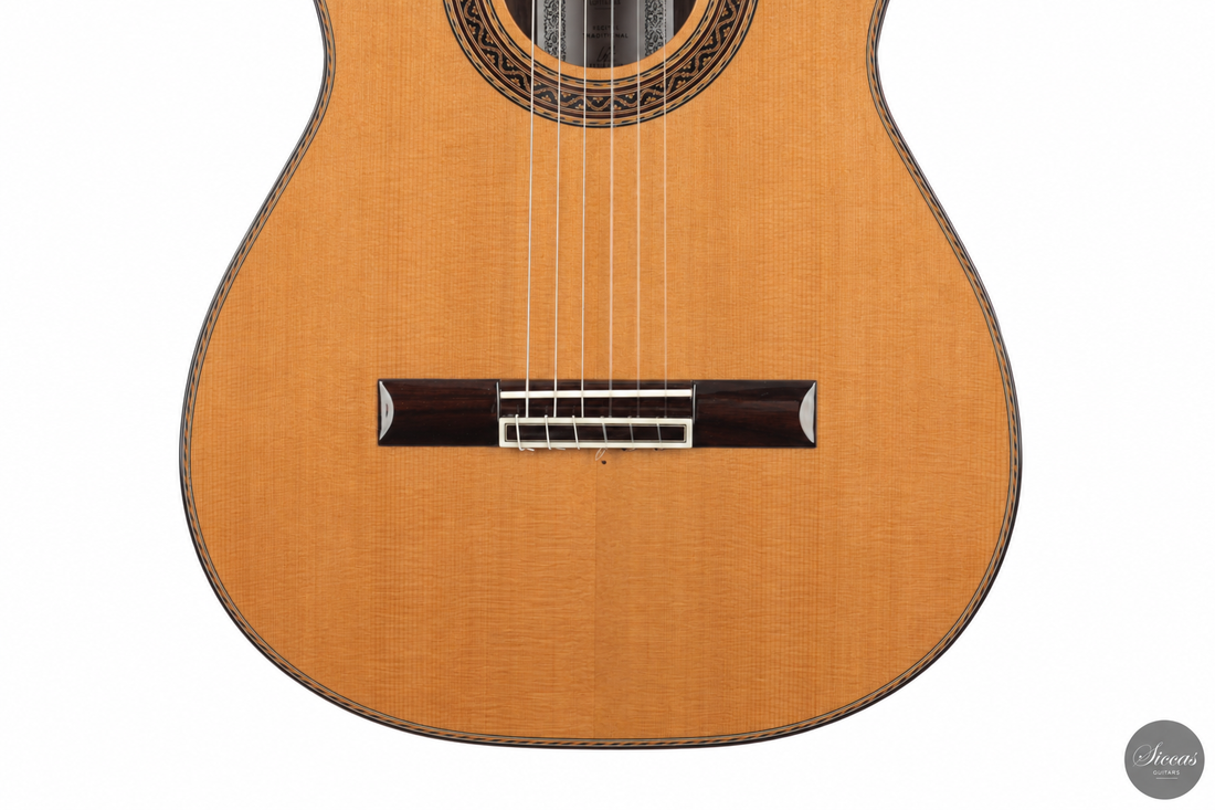 Siccas Luthiers - Halo Traditional Cedar 63 cm - Front view