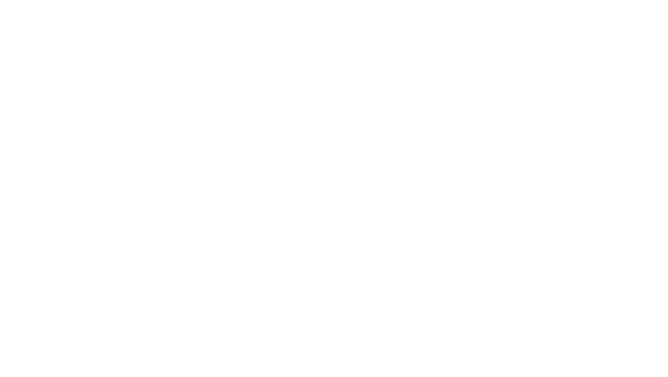 Siccas Luthiers
