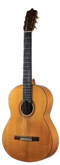 Sobrinos de Santos Hernandez