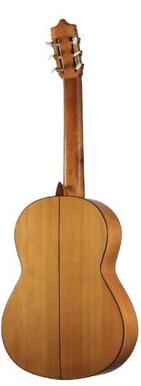 Sobrinos de Santos Hernandez