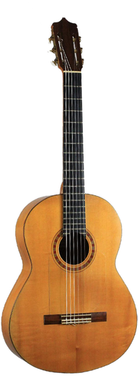 Sobrinos de Santos Hernandez
