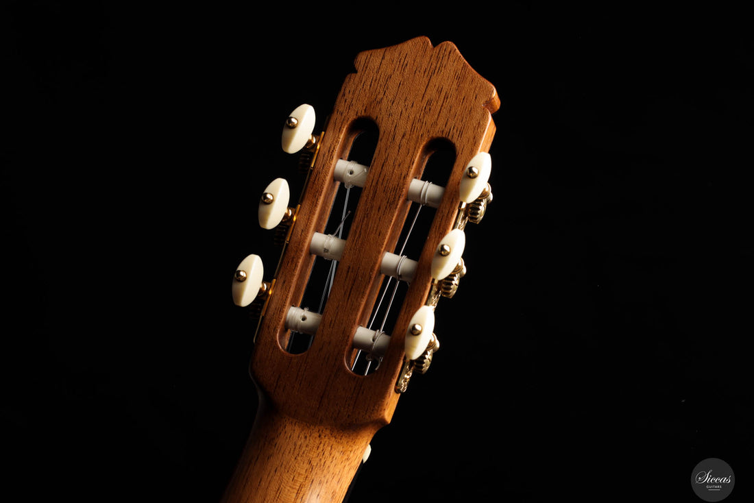 Sobrinos de Santos Hernandez/Santos Bayon Ruiz – 1970/2024