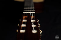 Solveig Kirschner - 2021