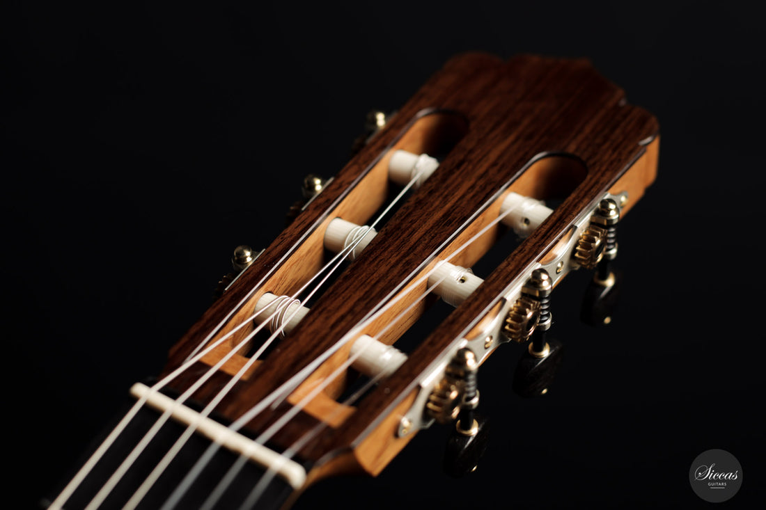 Solveig Kirschner - 2021