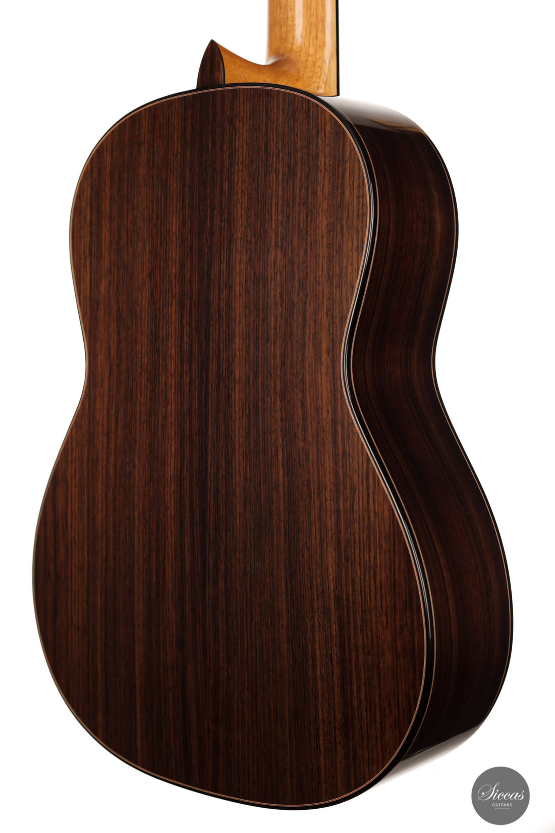 Solveig Kirschner - 2021