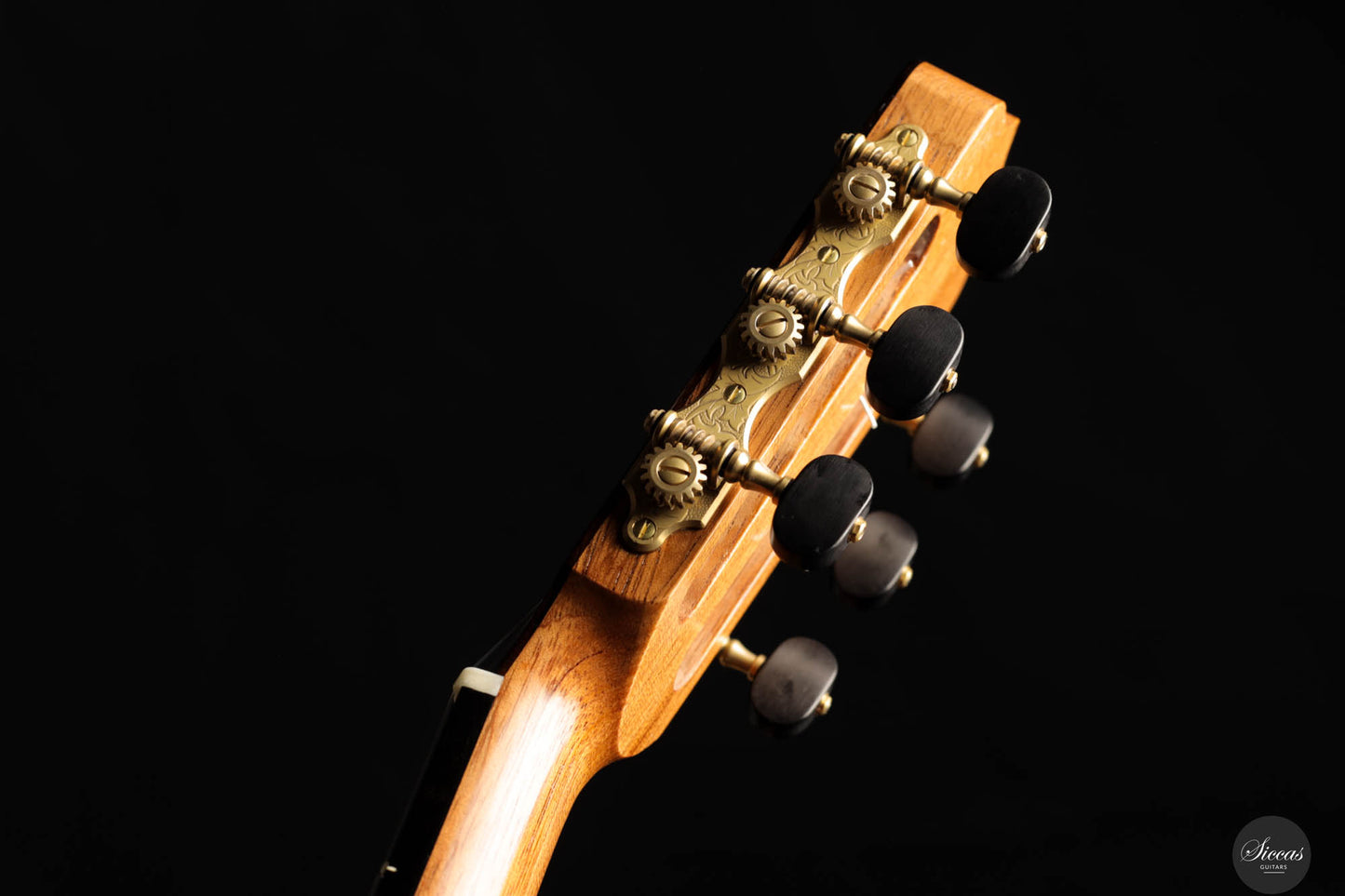 Stephen Eden - 2024 Cadenza No. 163 Cedar