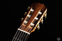 Stephen Eden - 2024 Cadenza No. 158