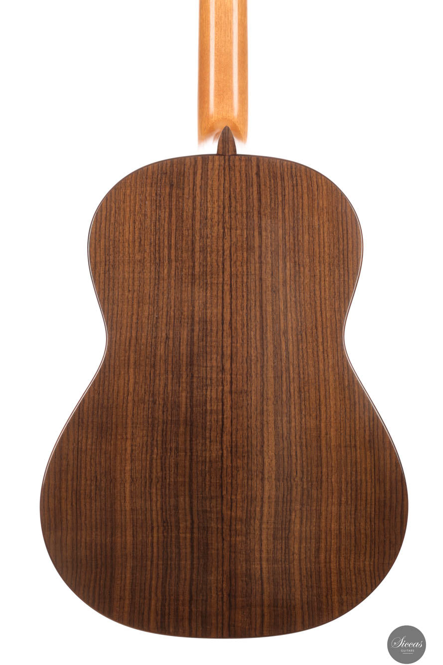 Stephen Eden - Cadenza 2024 No. 171 64 cm