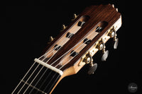 Stephen Hill – 2023 Doubletop 65 cm No. 270