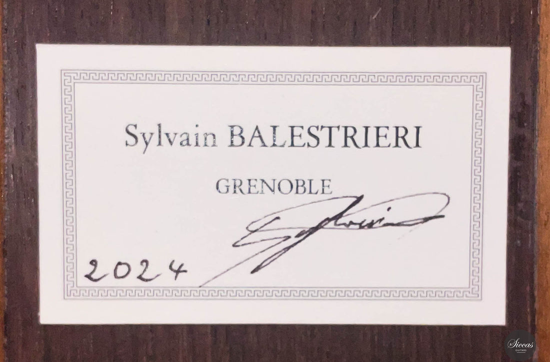 Sylvain Balestrieri - 2024