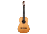 Tamara Stahl - 2020 Cedar