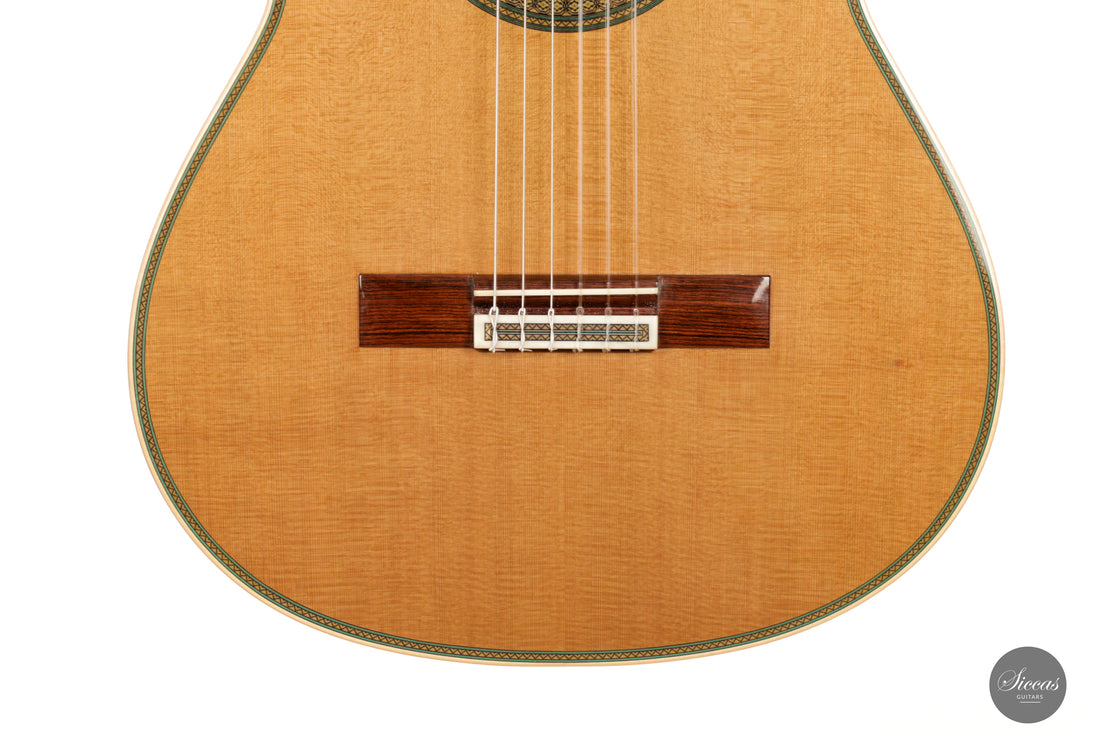 Teodoro Perez - 2023 Maestro Especial No. 1336