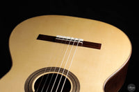Thomas Dauge - 2024 "Concert Model" No. 164
