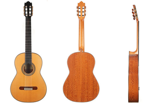 Paulino Bernabé - 2020 640mm img-2