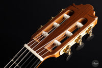 Vicente Carrillo - 2023 Herencia 63 cm