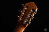 Walter Verreydt - 2023 Latticeflatt