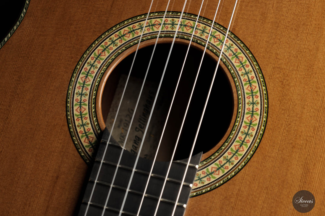 Wolfgang Jellinghaus - "Manuel Ramirez 1912" Zeder / Pao Ferro