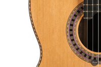 Wolfgang Jellinghaus - "Signature Doubletop" Zeder Linkshand