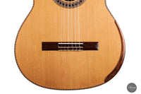 Wolfgang Jellinghaus - "Signature Doubletop" Zeder Linkshand
