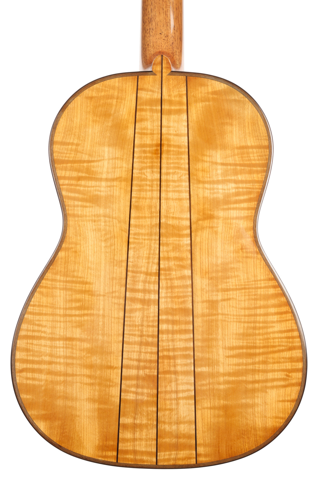 Wolfgang Jellinghaus - "Torres 43" Fichte / Ahorn 64cm/49mm