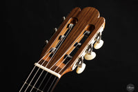 Wolfgang Jellinghaus - Antonio de Torres FE 17 A Indische Palisander 63 cm