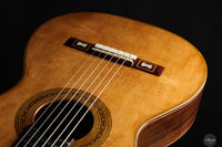 Wolfgang Jellinghaus - Antonio de Torres FE 17 A Indische Palisander 63 cm