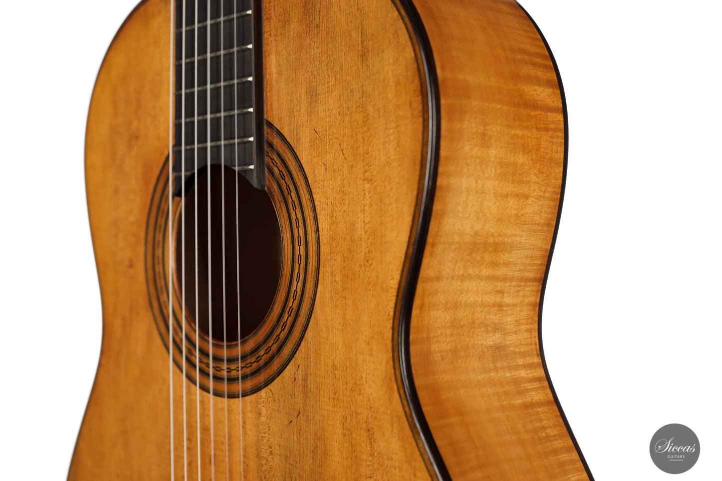 Wolfgang Jellinghaus - 2024 Torres 114 Spruce / Maple