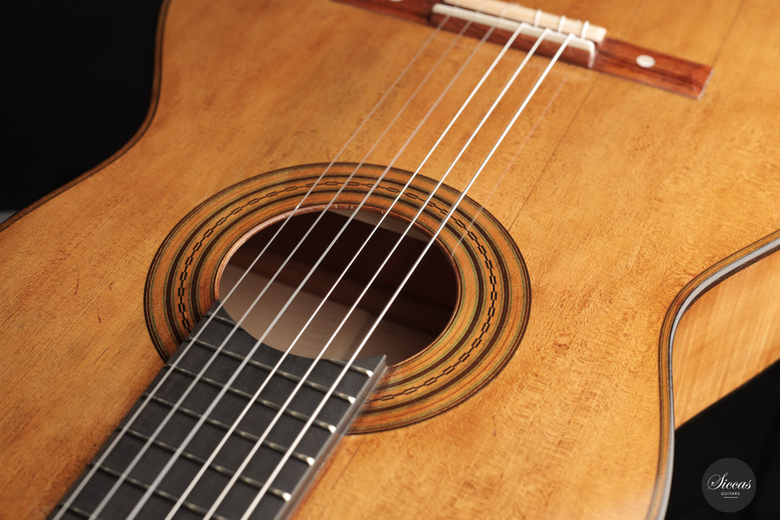 Wolfgang Jellinghaus - 2024 Torres 114 Spruce / Maple