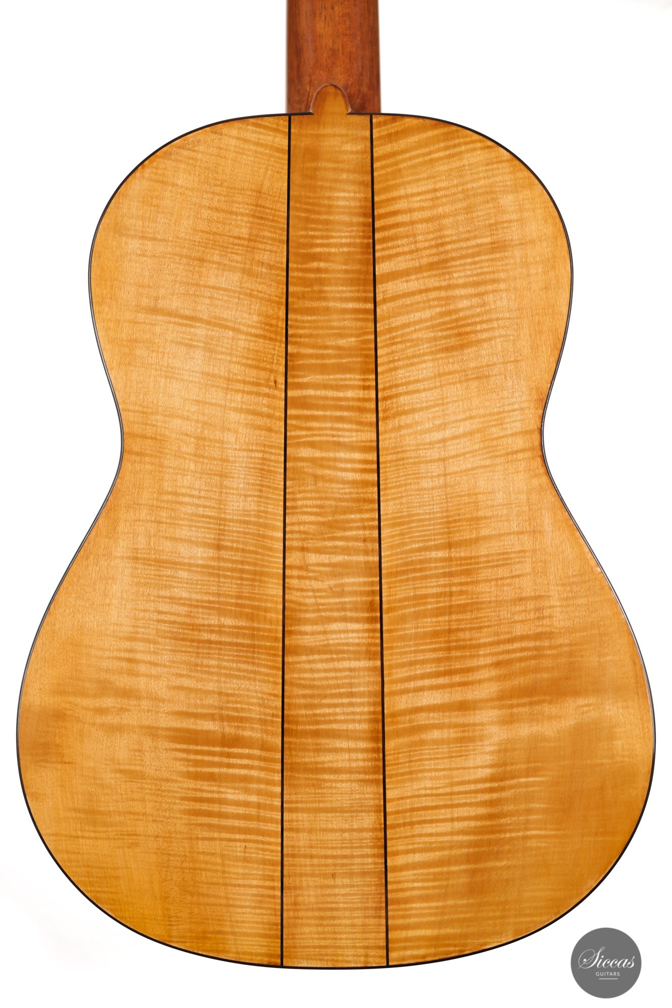 Wolfgang Jellinghaus - 2024 Torres 114 Spruce / Maple