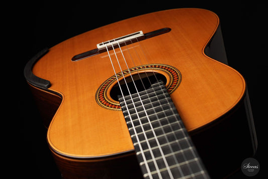 Yulong Guo - Chamber Concert Doubletop Linkshand