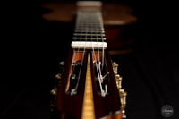 Yulong Guo - 2021 Concert Zeder/Ziricote