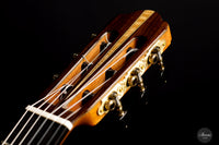 Yulong Guo - 2021 Concert Zeder/Ziricote