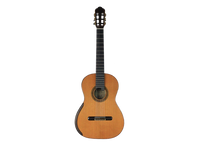 Yulong Guo 2011 Chamber Concert Doubletop