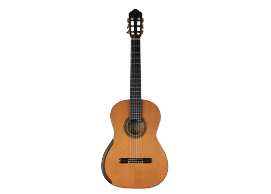 Yulong Guo 2011 Chamber Concert Doubletop
